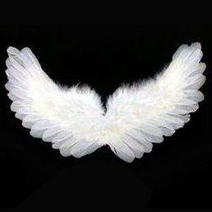 Meet your Posher, Darcy